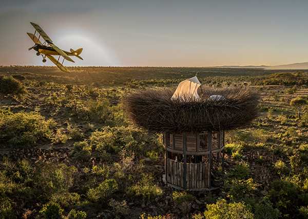 Best Nestin’: Luxurious Treetop Bird Nest Suite
