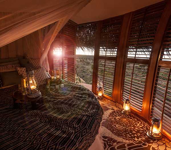 Best Nestin’: Luxurious Treetop Bird Nest Suite