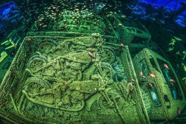 Sea It: 2018 Underwater Photographer Of The Year