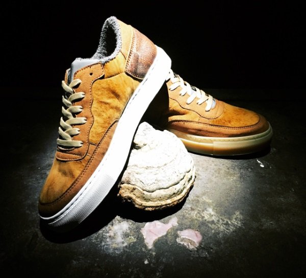 Fungi 4 Feet: Mushrooms Make Sustainable Sneakers