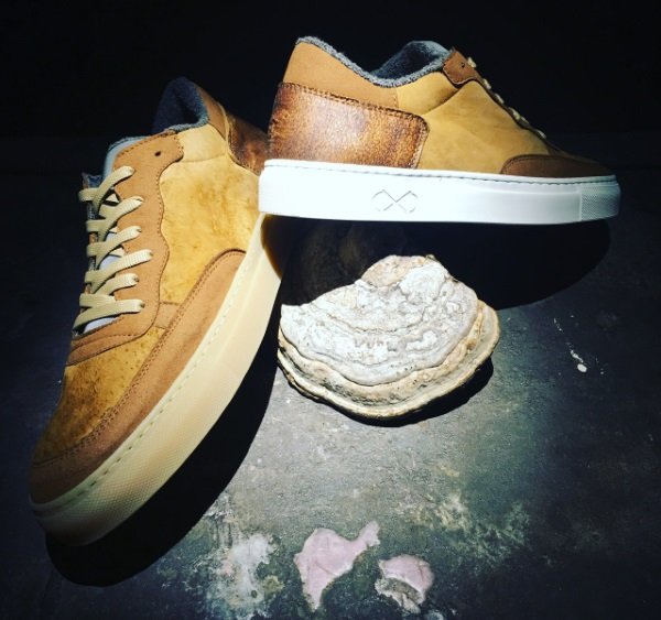 Fungi 4 Feet: Mushrooms Make Sustainable Sneakers