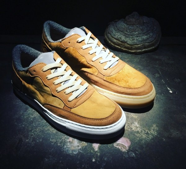 Fungi 4 Feet: Mushrooms Make Sustainable Sneakers