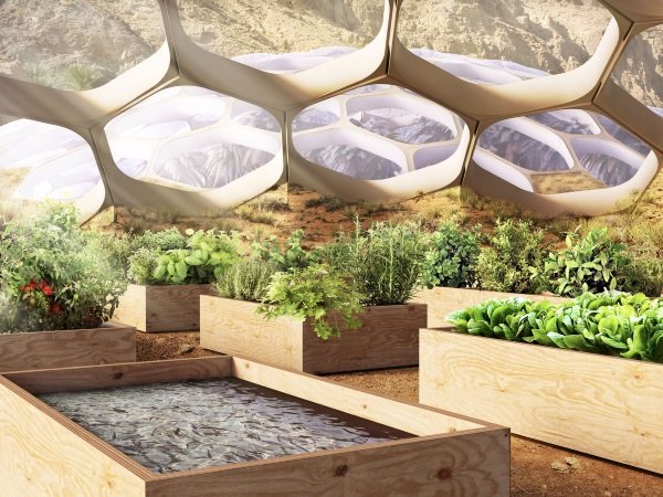 Dome Base: UAE’s Biodomes Wildlife Conservation Center
