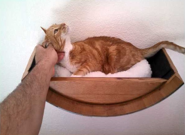 Kit’n Barrel: Recycled Wine Barrel Cat Beds