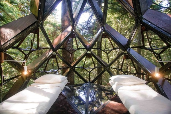 Hangout: Pinecone Treehouse Rests Among Redwoods