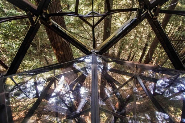 Hangout: Pinecone Treehouse Rests Among Redwoods