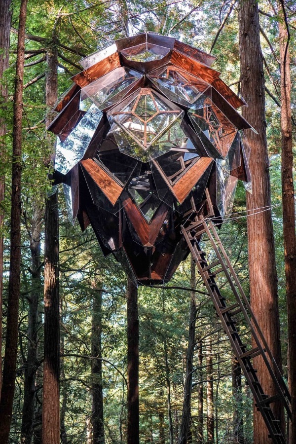Hangout: Pinecone Treehouse Rests Among Redwoods