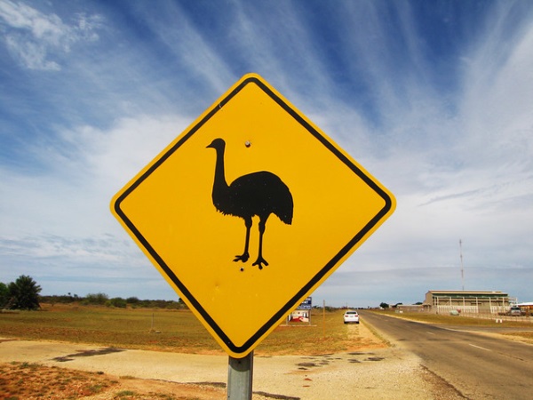 Koalified: 7 Amazing Australian Animal Crossing Signs
