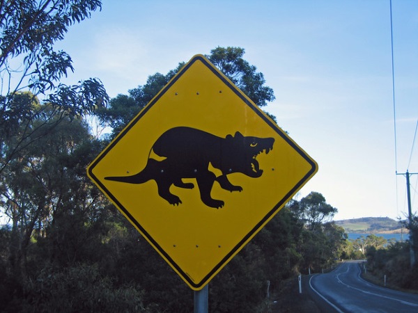 Koalified: 7 Amazing Australian Animal Crossing Signs