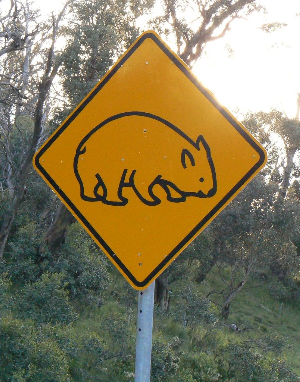 Koalified: 7 Amazing Australian Animal Crossing Signs