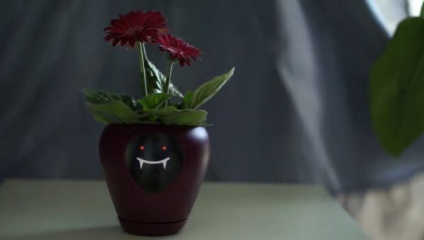 Face Plant: Lüa Smart Planter Is Your Botanical Buddy