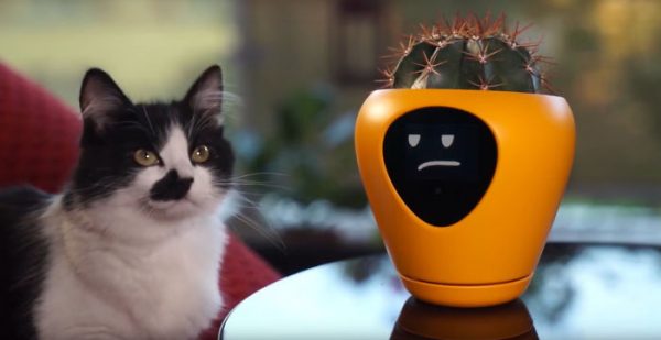 Face Plant: Lüa Smart Planter Is Your Botanical Buddy