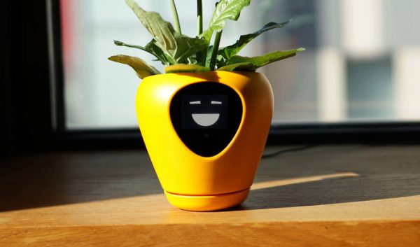 Face Plant: Lüa Smart Planter Is Your Botanical Buddy