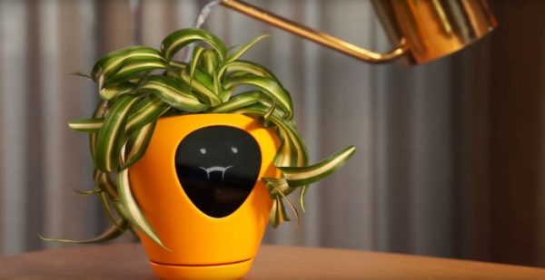 Face Plant: Lüa Smart Planter Is Your Botanical Buddy