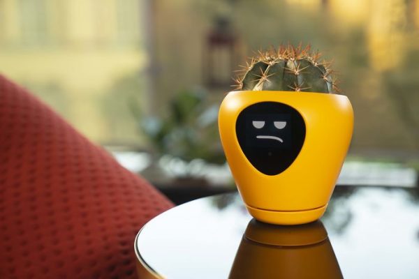 Face Plant: Lüa Smart Planter Is Your Botanical Buddy
