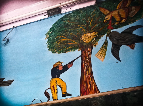 Art Of The Heal: Macabre Murals Of The Jain Bird Hospital