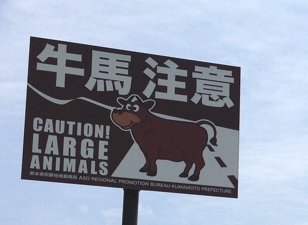 Eclectic Avenue: 10 Weird Animal Crossing Signs