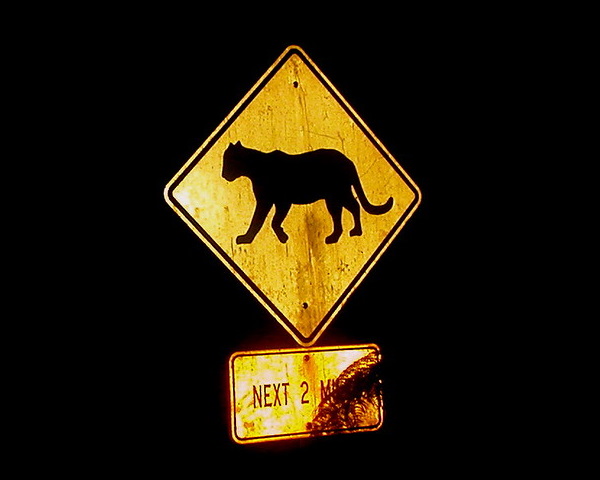 Eclectic Avenue: 10 Weird Animal Crossing Signs