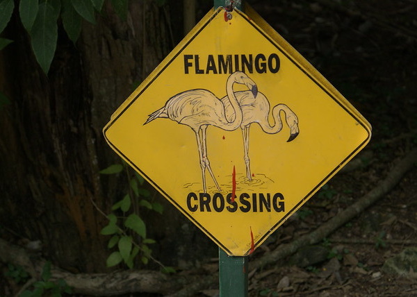 Eclectic Avenue: 10 Weird Animal Crossing Signs