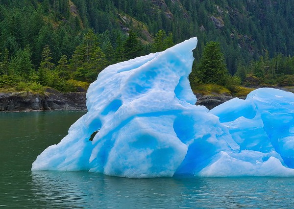 Frozen Grins: 10 Cool & Creepy Iceberg Faces