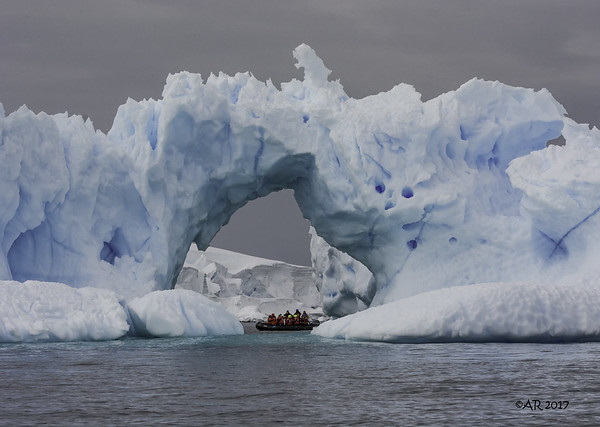 Frozen Grins: 10 Cool & Creepy Iceberg Faces