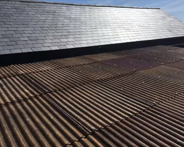 Glad Clad: Hemp Fiber Sheets Make Walls Green