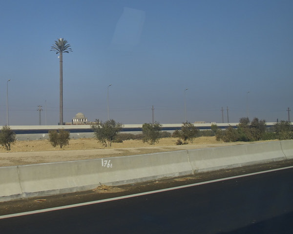 Fronds With Benefits: 10 Artificial Cellular Tower Trees