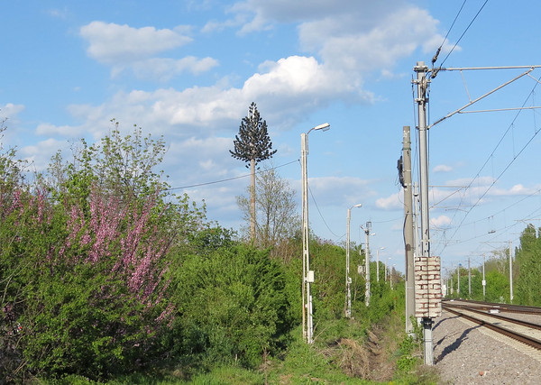 Fronds With Benefits: 10 Artificial Cellular Tower Trees