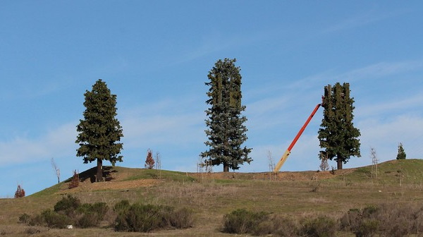 Fronds With Benefits: 10 Artificial Cellular Tower Trees