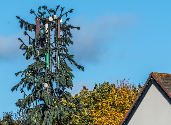 Fronds With Benefits: 10 Artificial Cellular Tower Trees