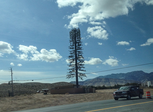 Fronds With Benefits: 10 Artificial Cellular Tower Trees
