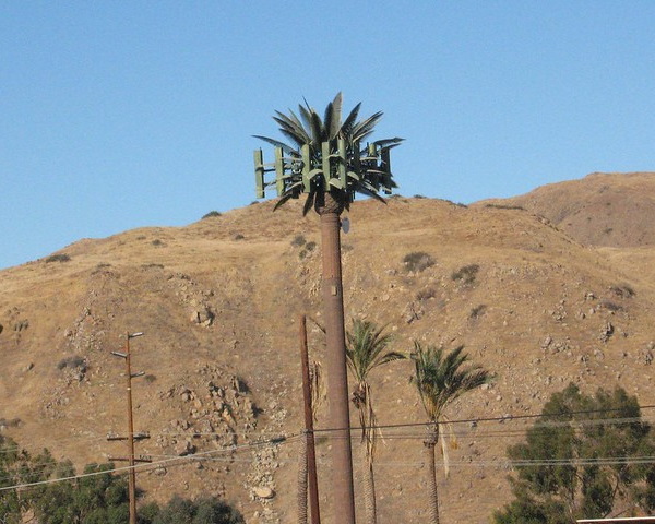 Fronds With Benefits: 10 Artificial Cellular Tower Trees
