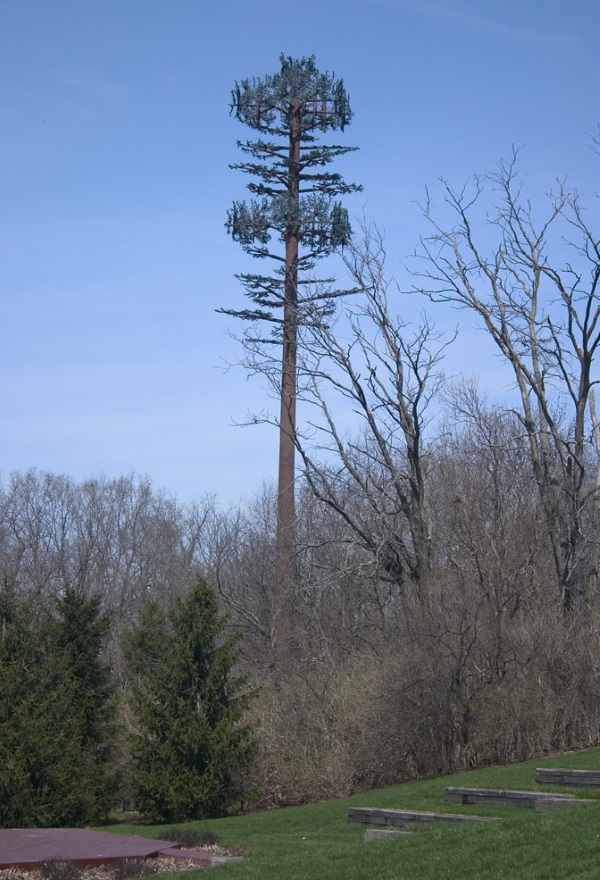 Fronds With Benefits: 10 Artificial Cellular Tower Trees