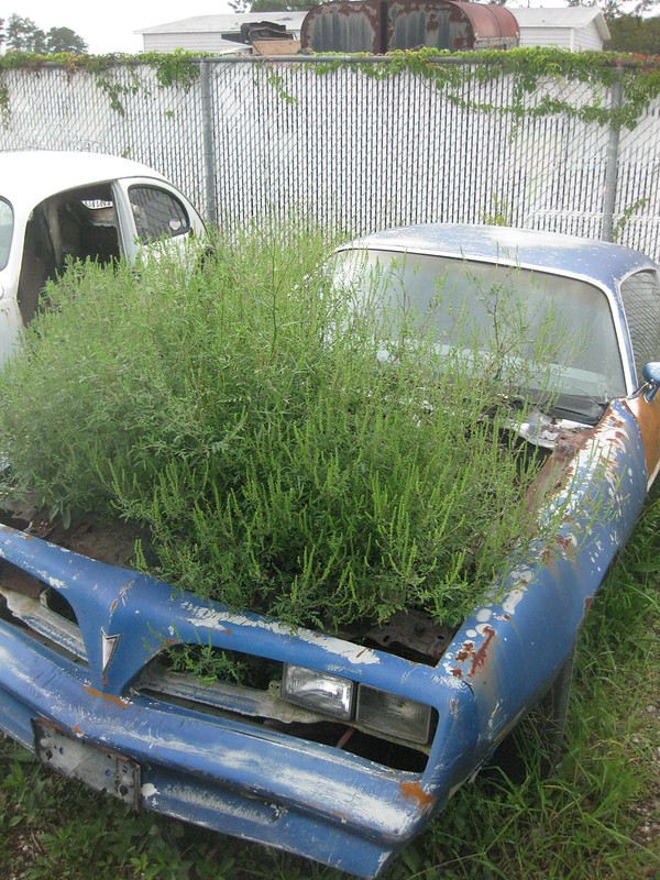 Power Plants: 10 More Overgrown Abandoned Vehicles