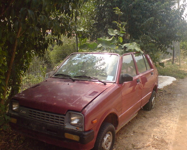 Power Plants: 10 More Overgrown Abandoned Vehicles