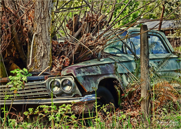 Power Plants: 10 More Overgrown Abandoned Vehicles