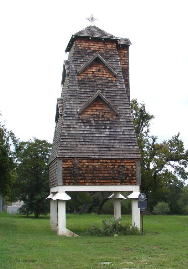 Bats Motel: Giant Bat Roosts Were Ahead Of Their Time