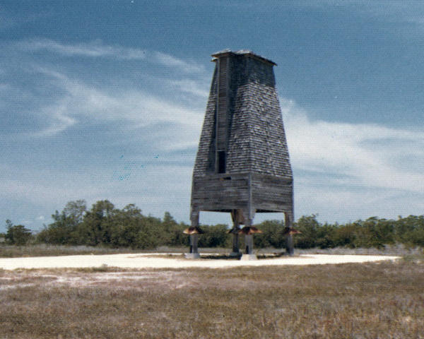 Bats Motel: Giant Bat Roosts Were Ahead Of Their Time