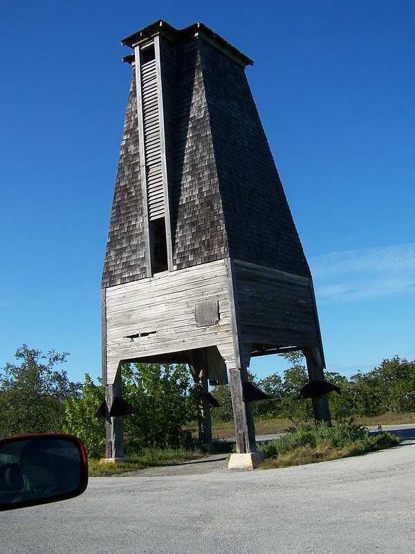 Bats Motel: Giant Bat Roosts Were Ahead Of Their Time