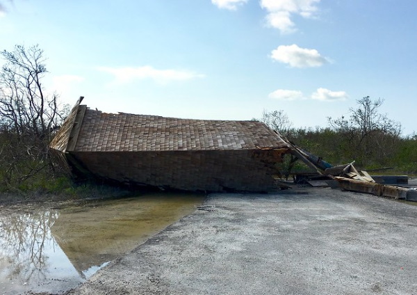 Bats Motel: Giant Bat Roosts Were Ahead Of Their Time