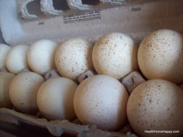Gobble Wobble: Delicious Turkey Eggs Are No Yolk!