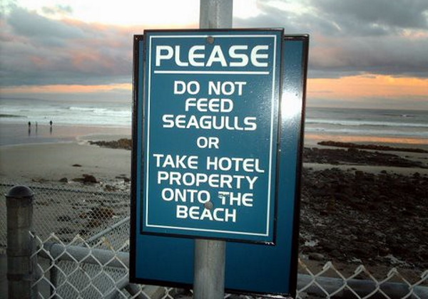 Sandy Clauses: 10 Bonkers Beach Rules Signs