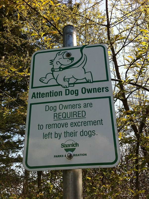 Sandy Clauses: 10 Bonkers Beach Rules Signs