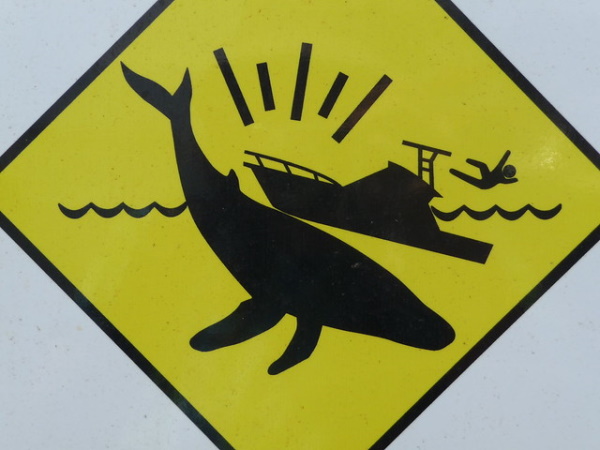 Figure Fear: 10 Environmental Stick Figure Warning Signs