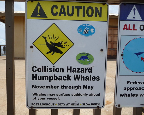 Figure Fear: 10 Environmental Stick Figure Warning Signs