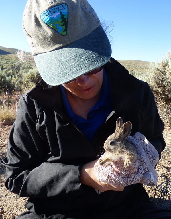 Show Me The Bunny: The World’s 7 Most Amazing Rabbits