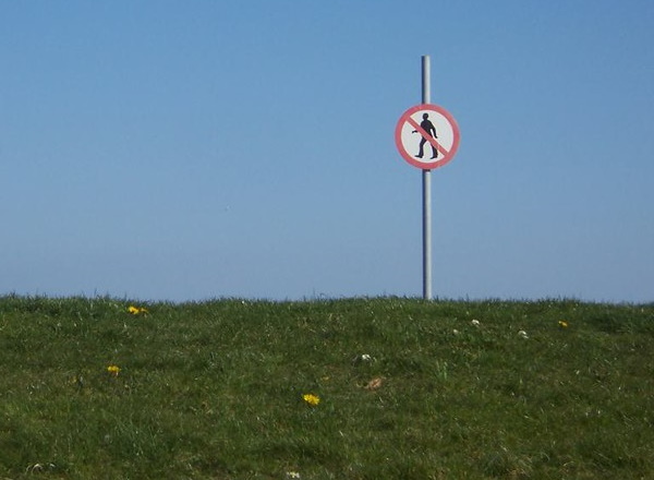 Lawn Order: 10 Seedy ‘Keep Off The Grass’ Signs