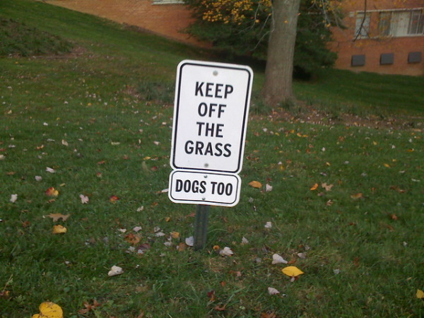 Lawn Order: 10 Seedy ‘Keep Off The Grass’ Signs