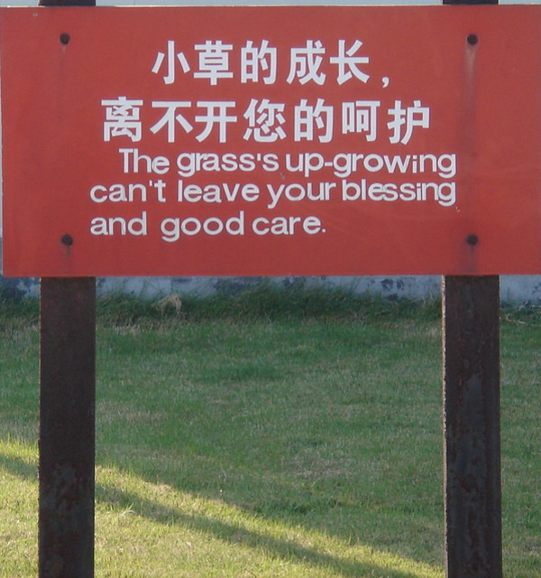 Lawn Order: 10 Seedy ‘Keep Off The Grass’ Signs