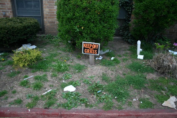 Lawn Order: 10 Seedy ‘Keep Off The Grass’ Signs